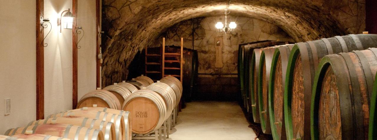 Weingut & Gaestehaus Dombi Weiss Podersdorf am See Zewnętrze zdjęcie